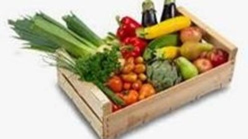 Réinscriptions à l'AMAP