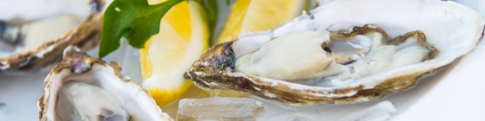 Recyclage des coquilles