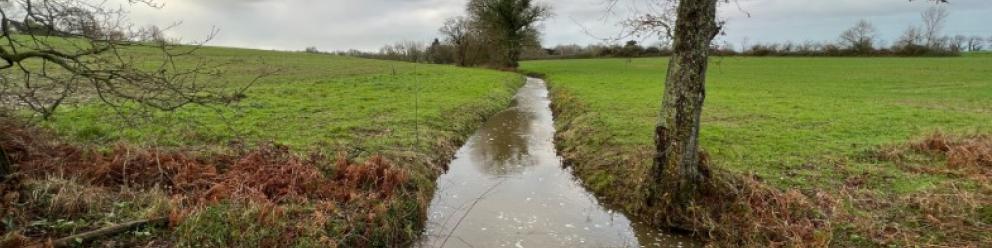 Atelier Fresque de l'eau