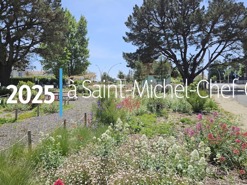 Un bel été 2025