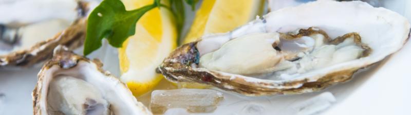 Recyclage des coquilles